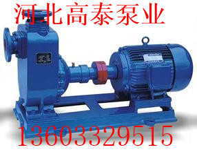 100ZX60-54自吸泵價(jià)格